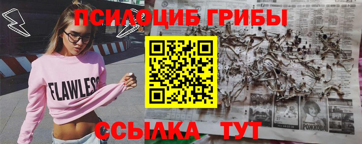 Луга  Псилоцибиновые грибы Cubensis  Вход с VPN 