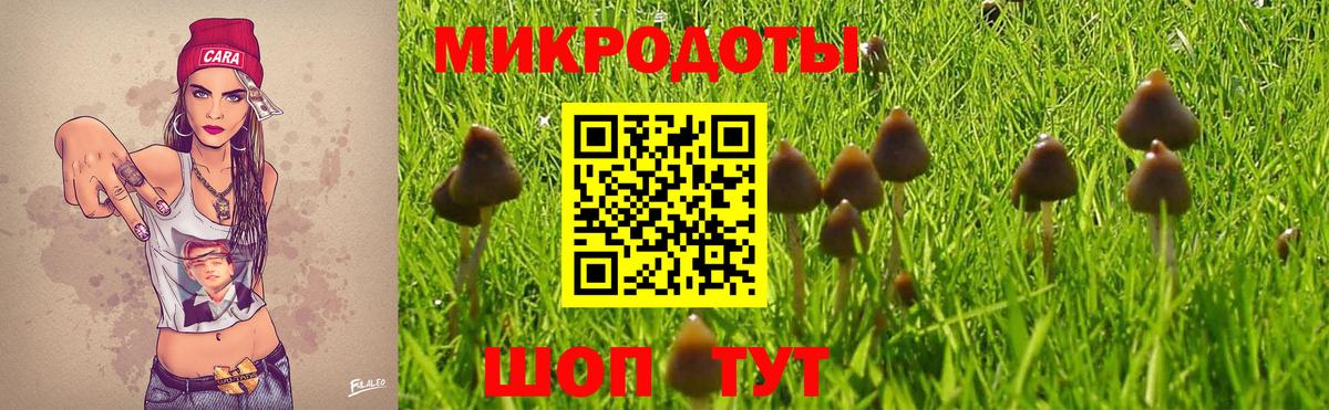 Галлюциногенные грибы мухоморы Луга